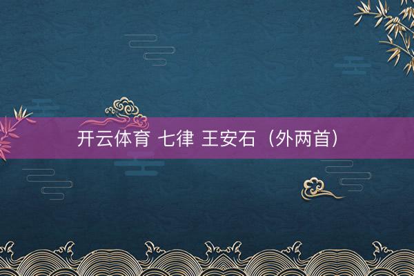 开云体育 七律 王安石（外两首）