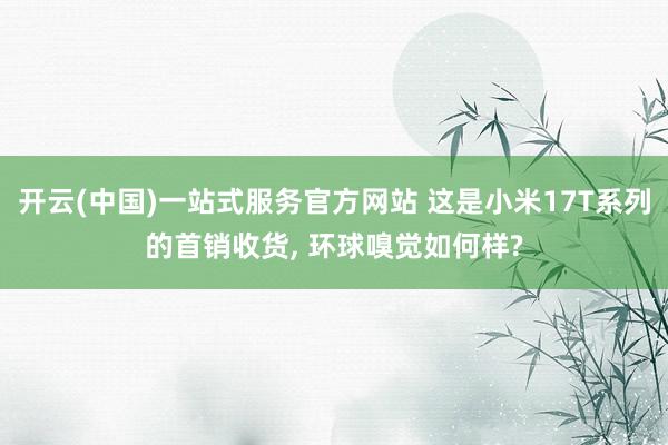 开云(中国)一站式服务官方网站 这是小米17T系列的首销收货， 环球嗅觉如何样?